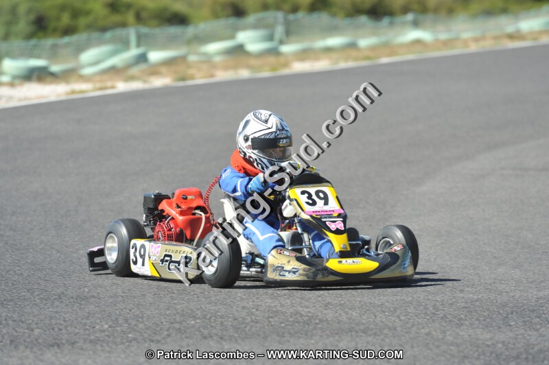 DSC (2801).JPG